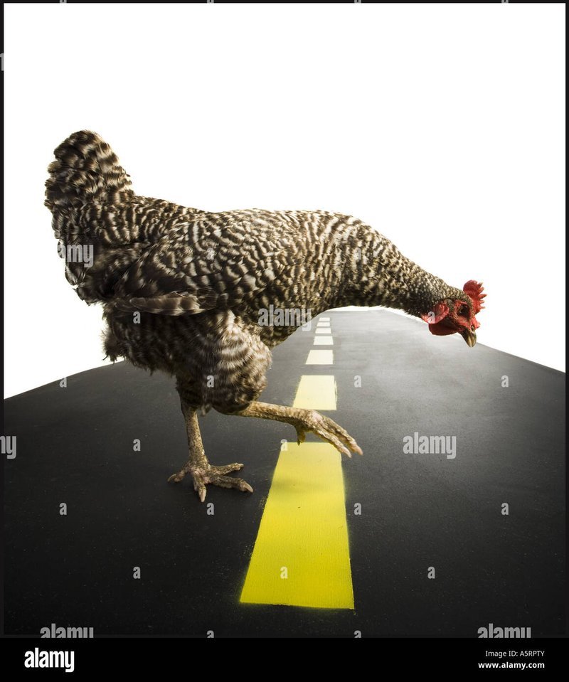 Best chicken road game in Netherlands