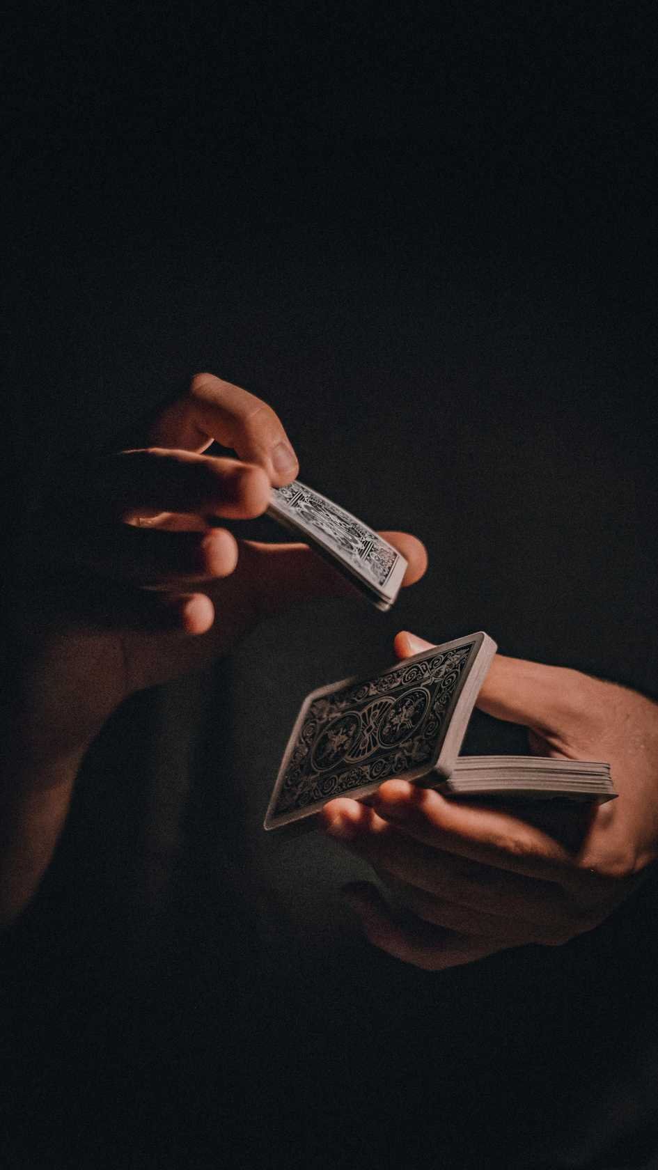 shinywildscasino